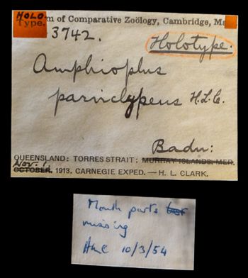 Media type: image;   Invertebrate Zoology OPH-3742 Description: Original handwritten specimen labels;  Aspect: labels